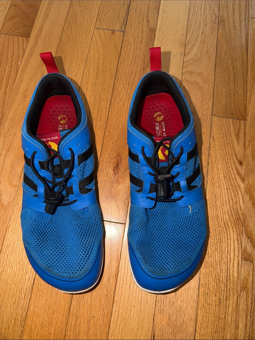 ZeroXposur Men's Athletic Shoes in Blue and Black with Red Accents